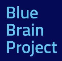 blue brain logo