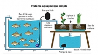 Aquaponic farm in Pays de Gex (France)