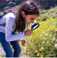 A Nature and discovery walk on the magnificent Mont Salève